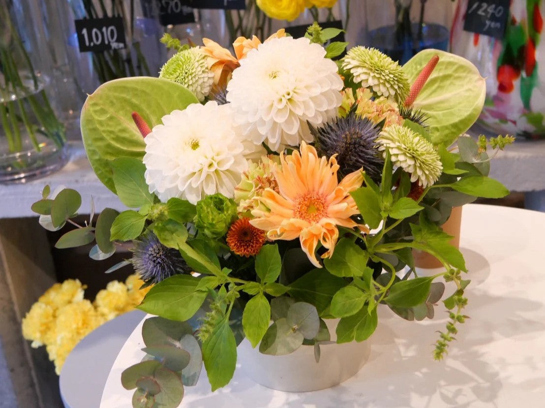 レッスン開催のお知らせ