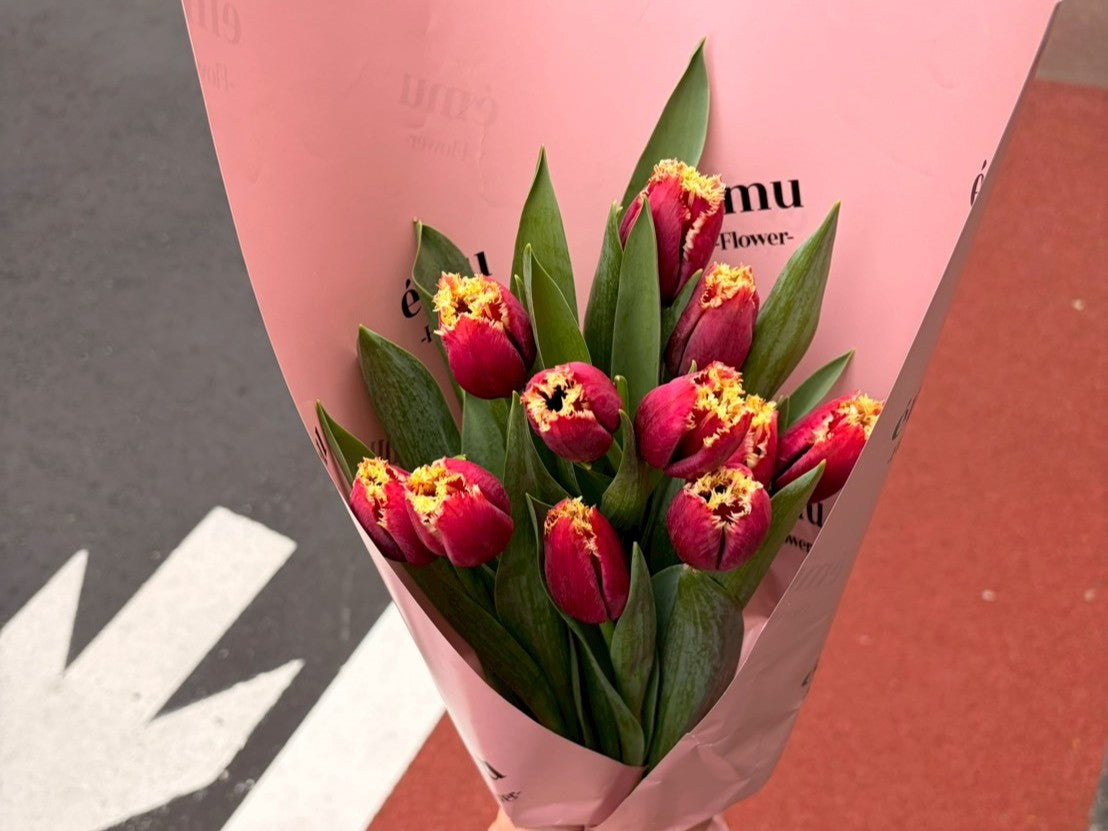 春の入り口に楽しむ、チューリップの咲き方いろいろ