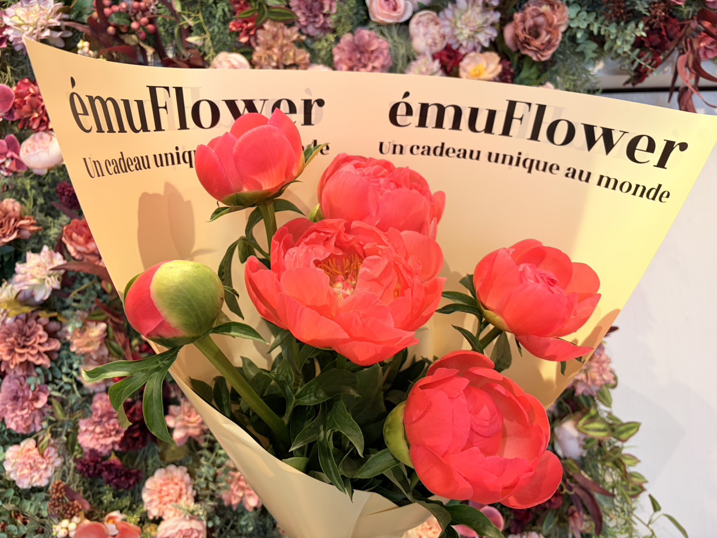 自由が丘の花屋に、初夏のお花が入荷しました