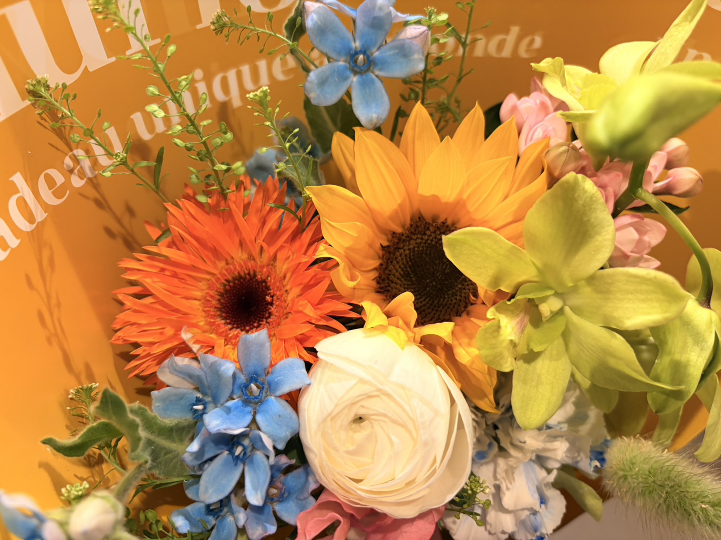 春から初夏へ、お花屋さんの季節が変わるサイン