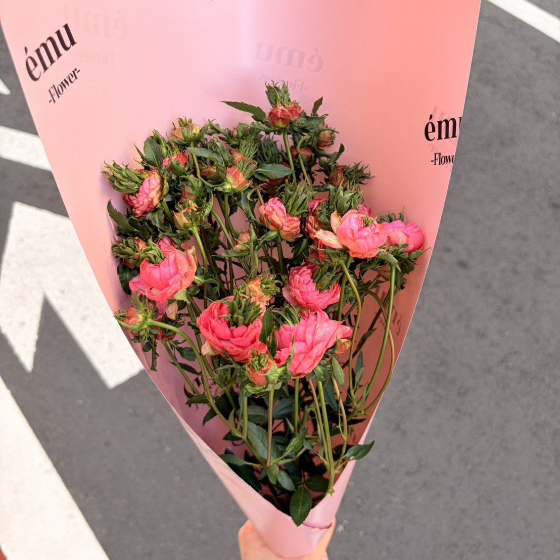 小さな花が、心を動かすこともある