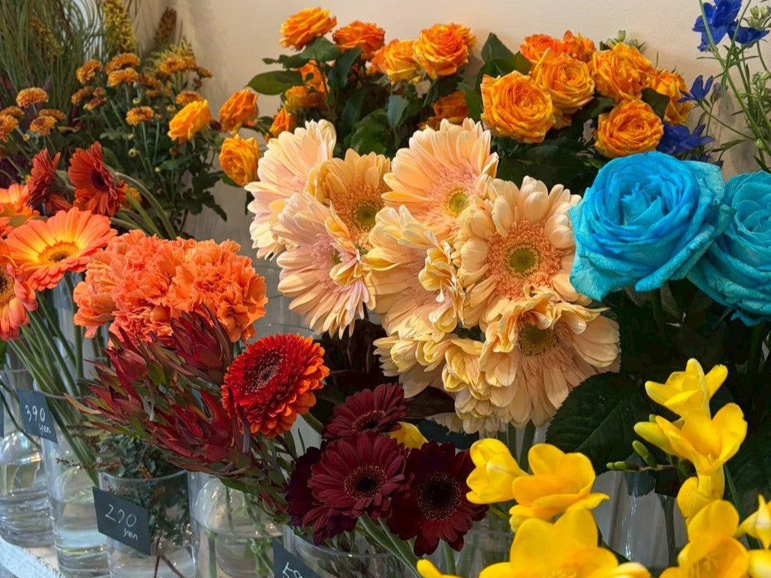 自由が丘で冬の花を楽しむために‐お手入れのコツ‐