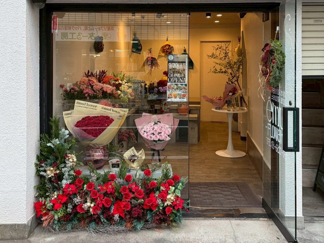 冬のému Flower、クリスマスの装いでお出迎え