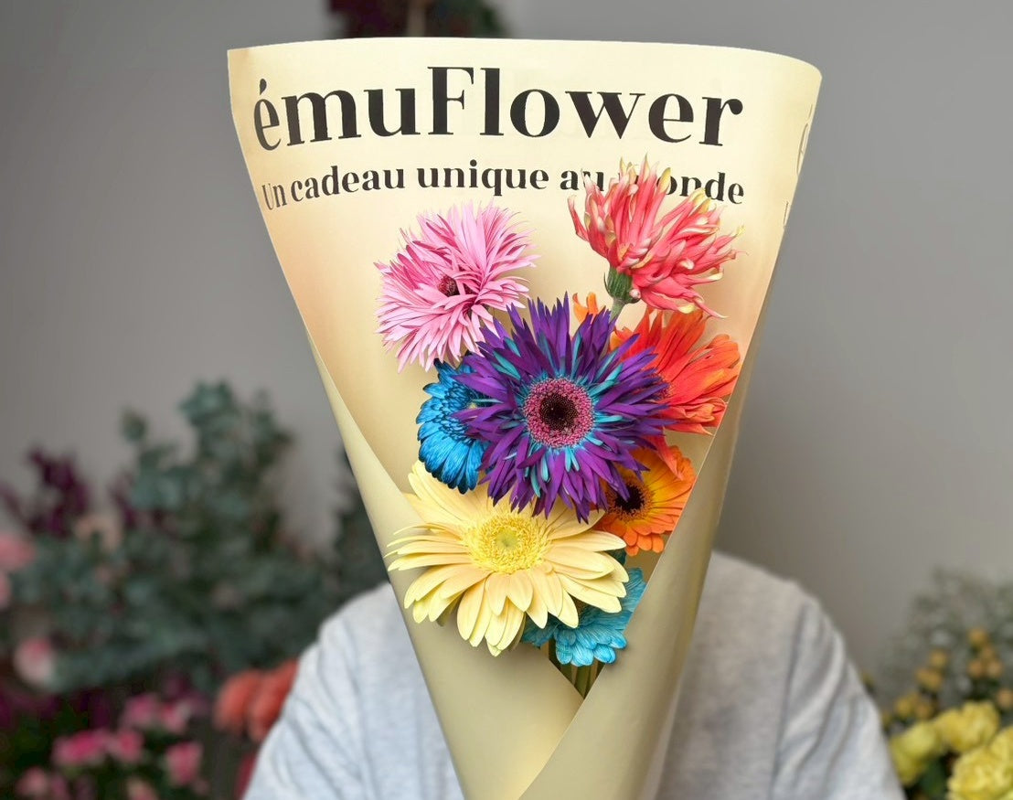 咲き方で個性が光るガーベラたちのご紹介