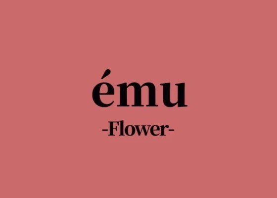 サイトオープンのお知らせ