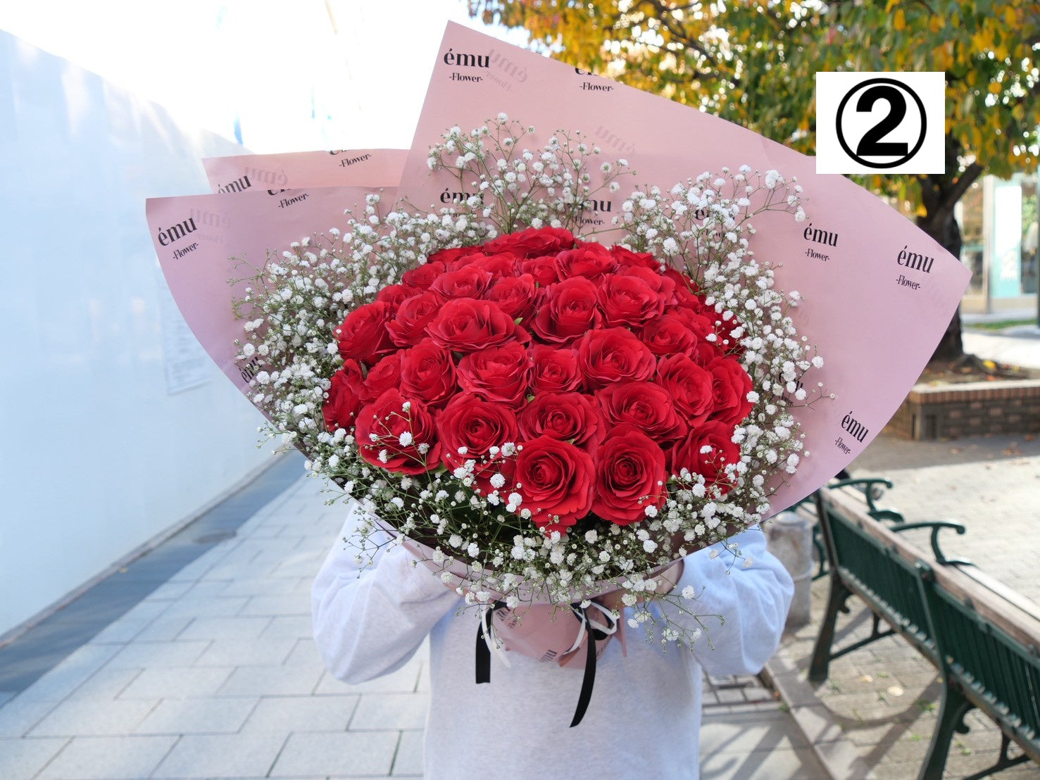 【高級バラ50本&カスミ草】選べるカスミ草カラー&émuピンクラッピング【北海道と沖縄は配送対象外】