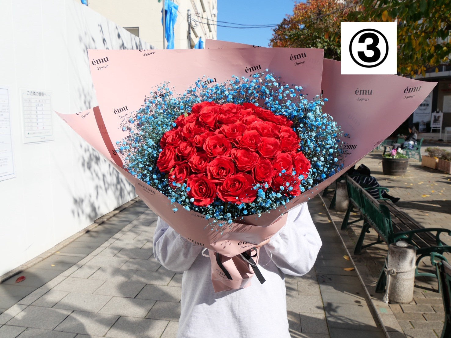 【高級バラ50本&カスミ草】選べるカスミ草カラー&émuピンクラッピング【北海道と沖縄は配送対象外】