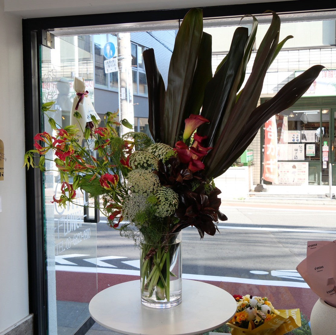 自由が丘の花屋で選ぶ｜ドラセナ・ブラックリーフのある暮らし