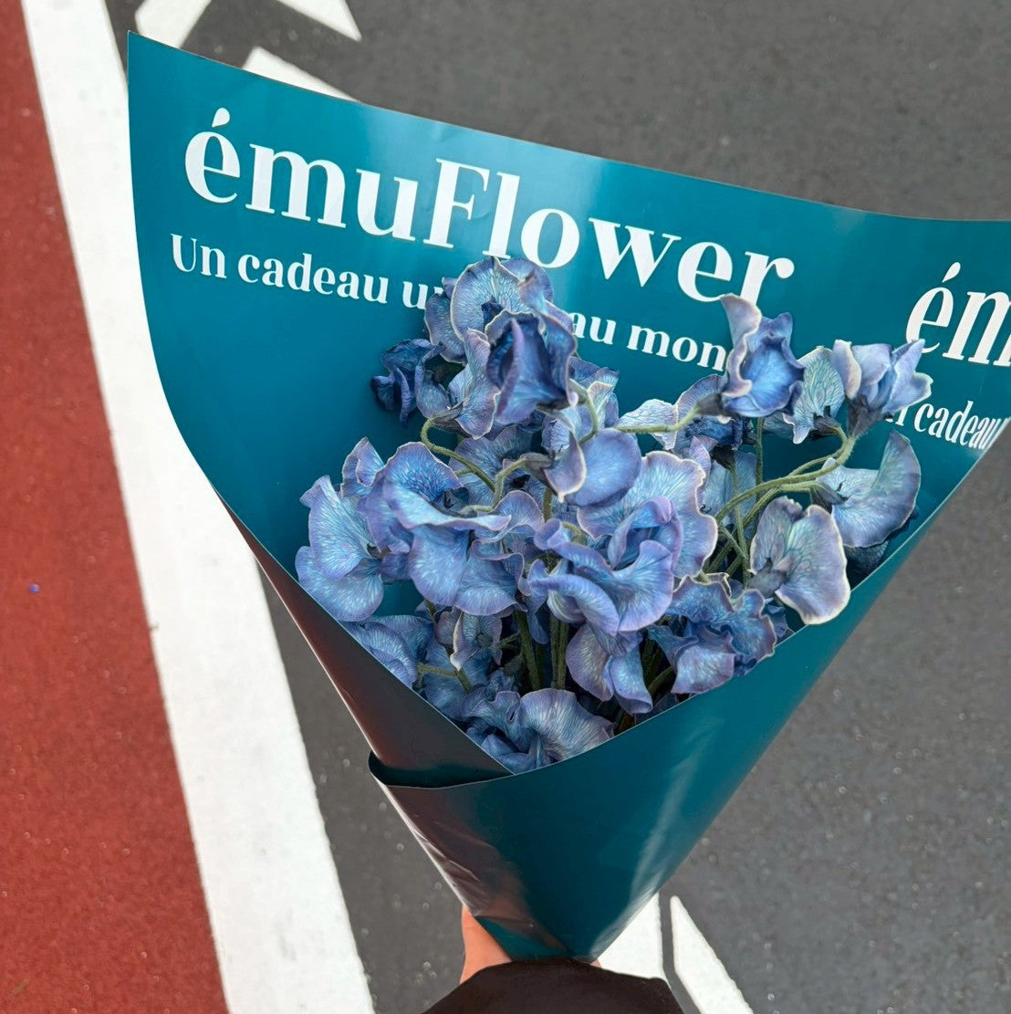 春を先取り！１月から楽しむ春花