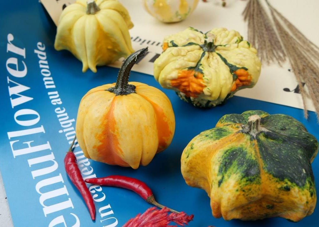 もうすぐハロウィン！かぼちゃ＆おすすめ切り花ご紹介