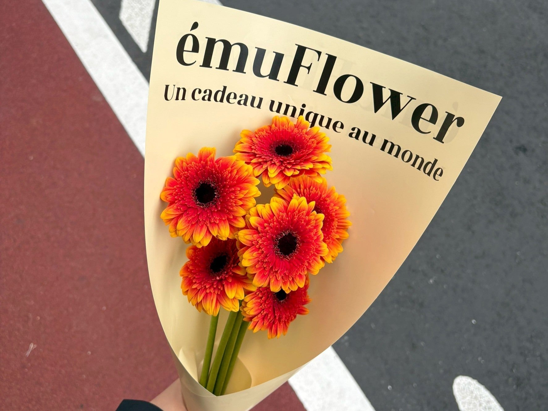 太陽みたいなお花がくれる、毎日の小さな光