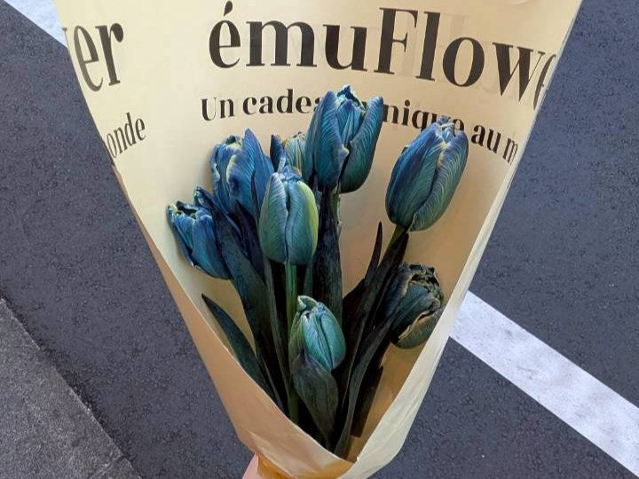 神秘的な青色のチューリップ