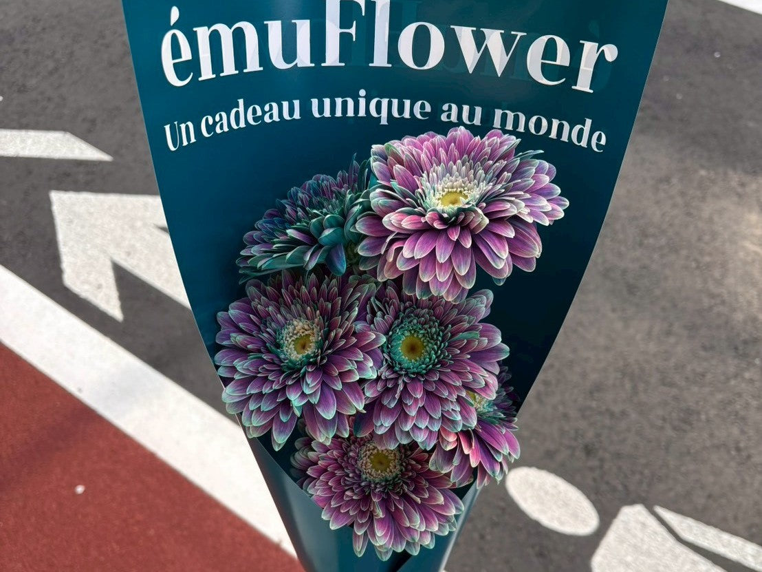 はじめてのお花のある暮らしの始め方