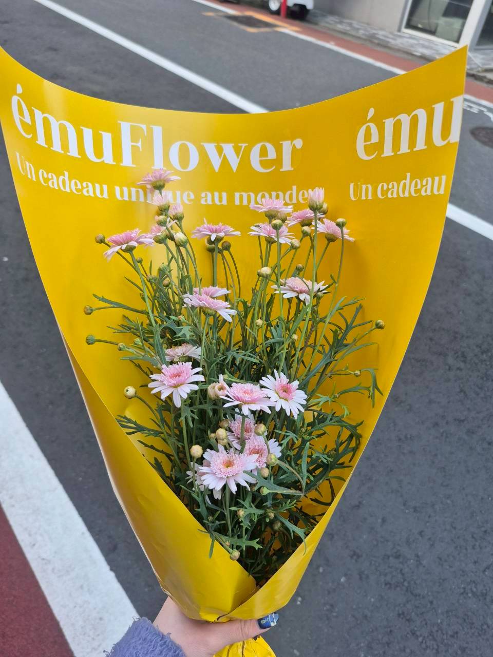 息づかいを感じる小花の魅力
