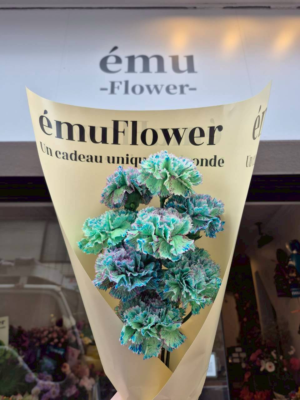 人工的に色を染めたお花の魅力と長持ちさせるコツ