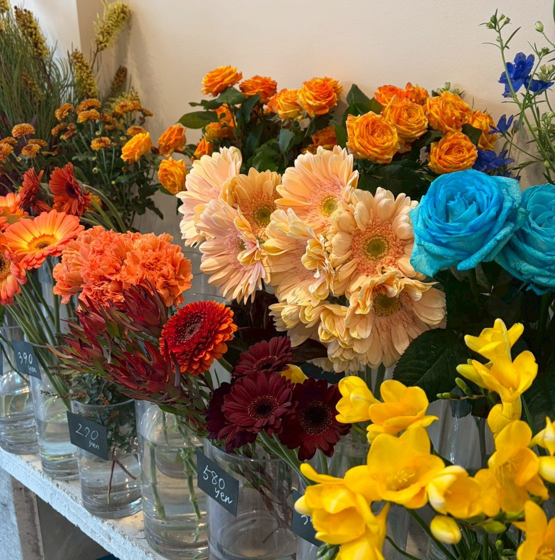 自由が丘で冬の花を楽しむために‐お手入れのコツ‐