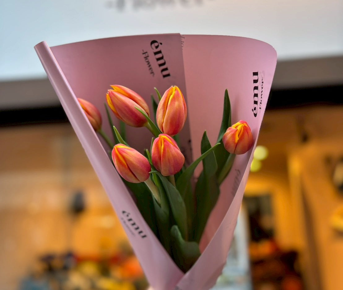 チューリップの花言葉に込められた神話の物語