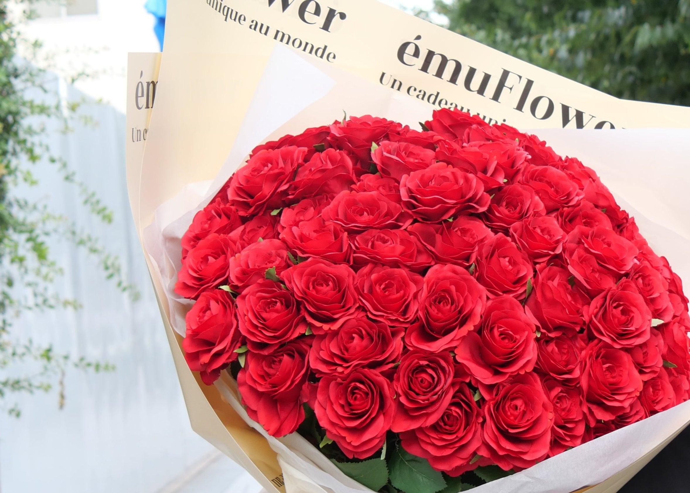高級バラ108本】【北海道と沖縄は配送対象外】 | ému Flower (エミュ