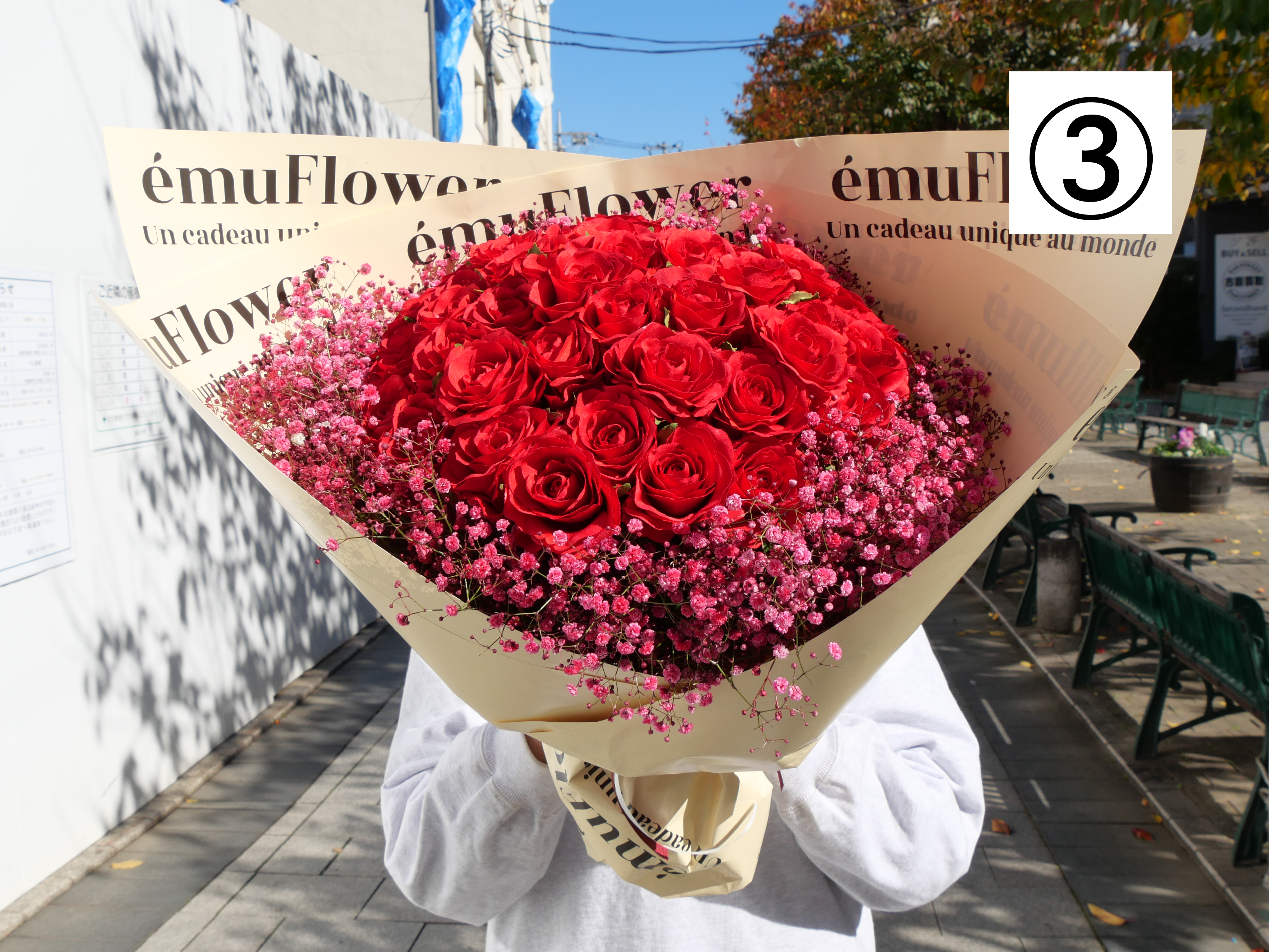 【高級バラ50本＆カスミ草】選べるカスミ草カラー＆émuクリームラッピング【北海道と沖縄は配送対象外】